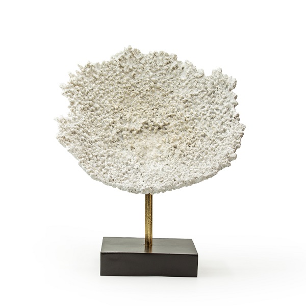 coral,coastal,