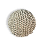 Resin Coral Wall Art Medium
