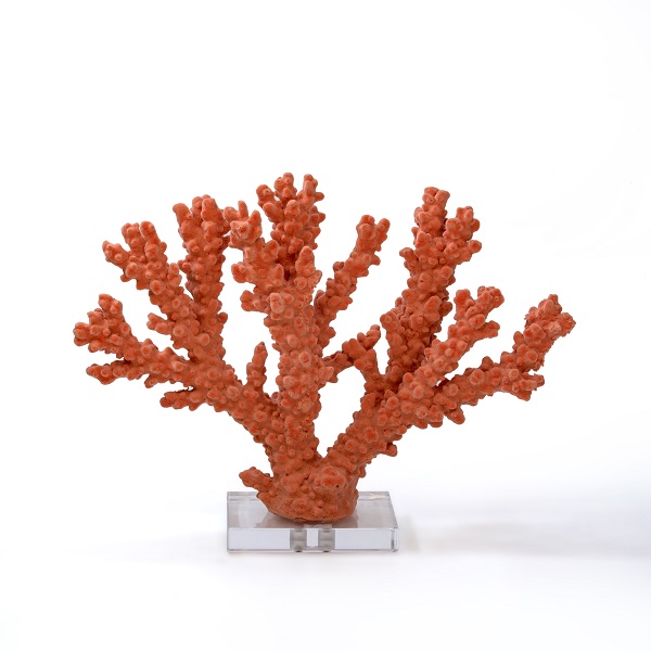 alt="orange coral on base"